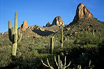 Landscapes Gallery
