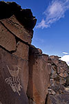 Petroglyph - Santa Fe River Canyon by Gary Regner