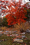Sabinal River - Lost Maples by Gary Regner