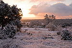 Winter Blanket - Texas Hill Country by Gary Regner