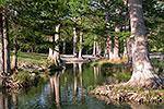 Guadalupe River - Guadalupe River by Gary Regner