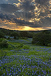 Crepuscular Rays - Texas Wildflowers by Gary Regner
