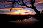 Lake Austin by Gary Regner