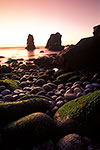 Monterey Coast by Gary Regner