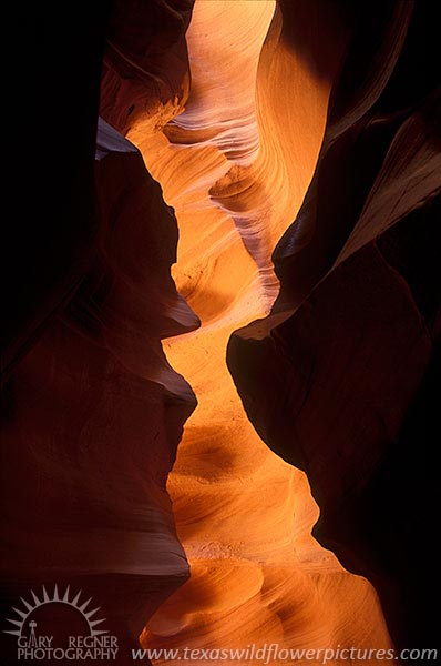 Slot Canyon - Antelope Canyon Arizona