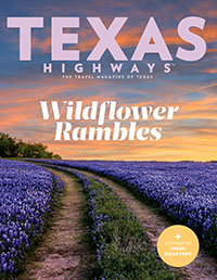 Texas Highways Annual Wildflower Issue - March 2019