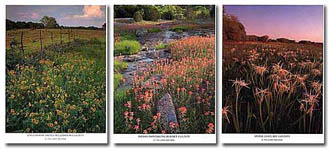 Gary Regner - Browntrout Calendars