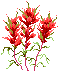 Red Wildflowers