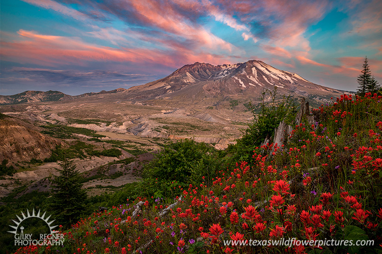 Sunset at Mt St Helens, Washington