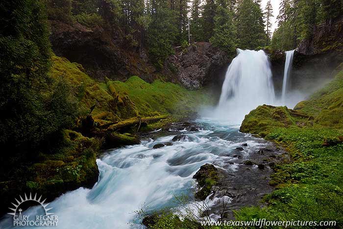 Sahalie Falls - Oregon Waterfall by Gary Regner