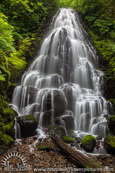 Fairy Falls - Oregon Waterfall Landscape by Gary Regner