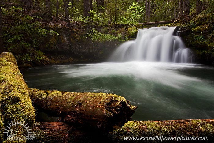 Oregon Waterfall - Whitehorse Falls