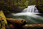 Whitehorse Falls - Oregon Waterfall Landscape by Gary Regner