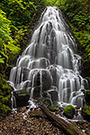 Fairy Falls - Oregon Waterfall Columbia River Gorge Landscape by Gary Regner
