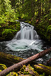 Whitehorse Falls, Revisited - Oregon Waterfall Landscape by Gary Regner