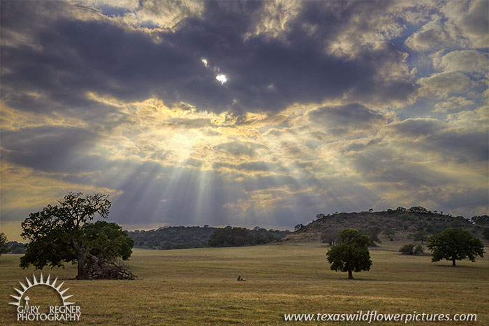God Rays, Landscape, Texas, Llano County