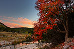 Hill Country Autumn - Texas Landscape Sunset by Gary Regner
