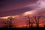 Hill Country Autumn - Texas Landscape Sunset by Gary Regner