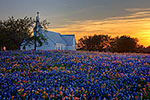 Church and Wildflowers - by Gary Regner