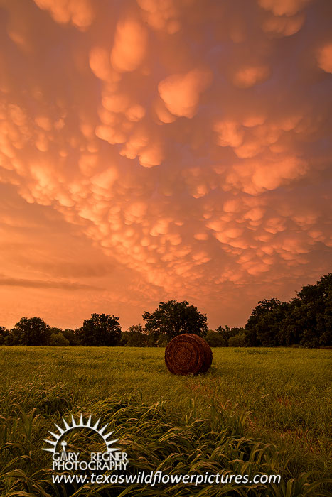 Hay Bale - Texas Sunset Landscape, Mammatus Clouds by Gary Regner