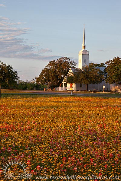 God's Blessing - Texas Wildflowers and Church, New Berlin by Gary Regner