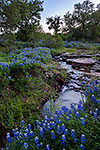 Bluebonnet Creek - Texas Wildflowers Sunset Landscape by Gary Regner