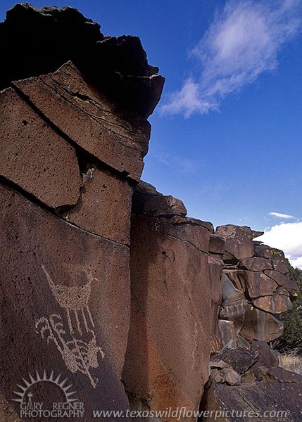 Petroglyph - New Mexico Rock Art