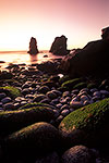 Monterey Coast - California Landscape by Gary Regner